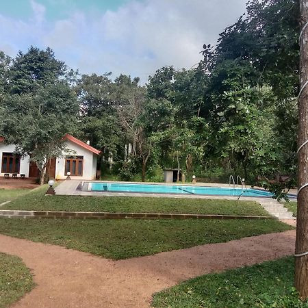 Lion King Jungle Cabanas Szigirija Kültér fotó