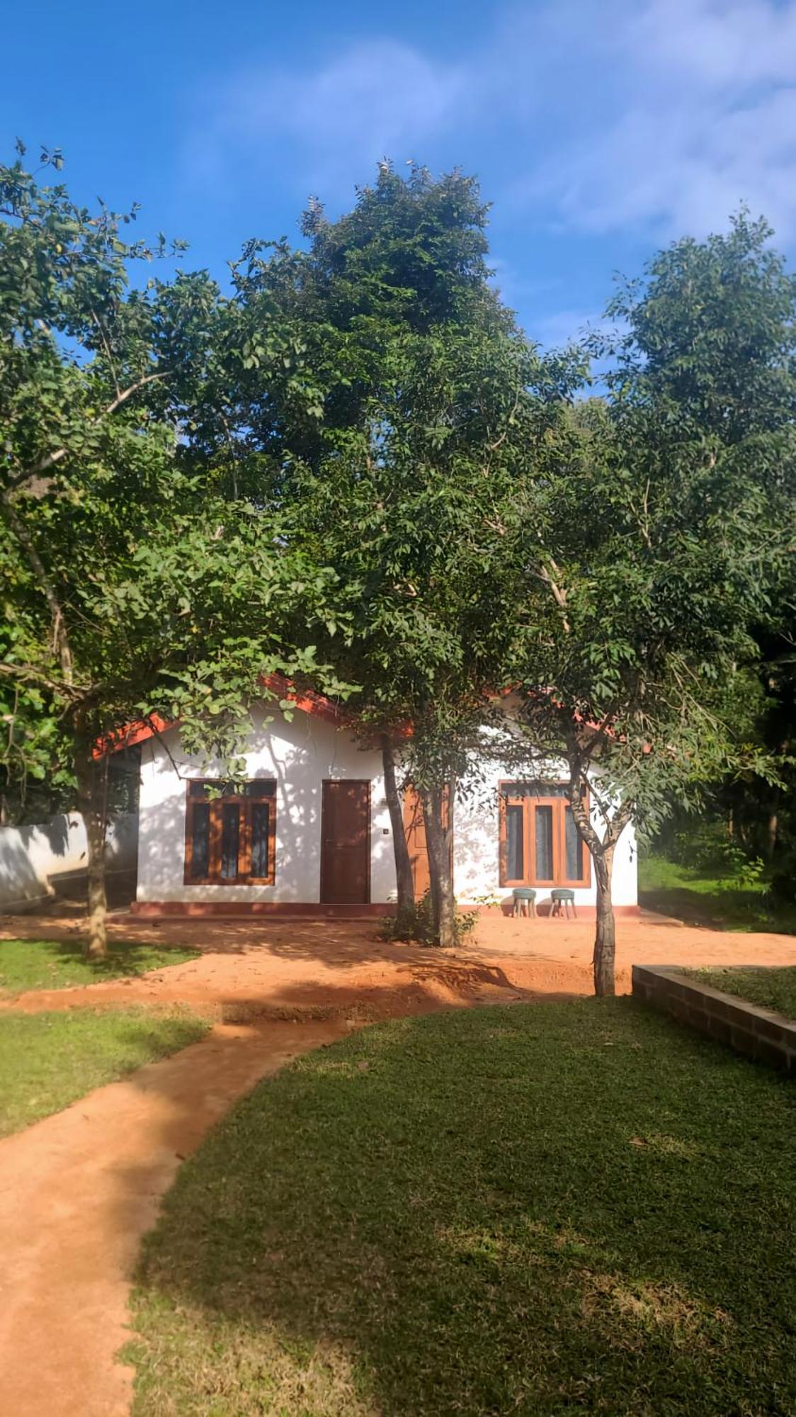 Lion King Jungle Cabanas Szigirija Kültér fotó