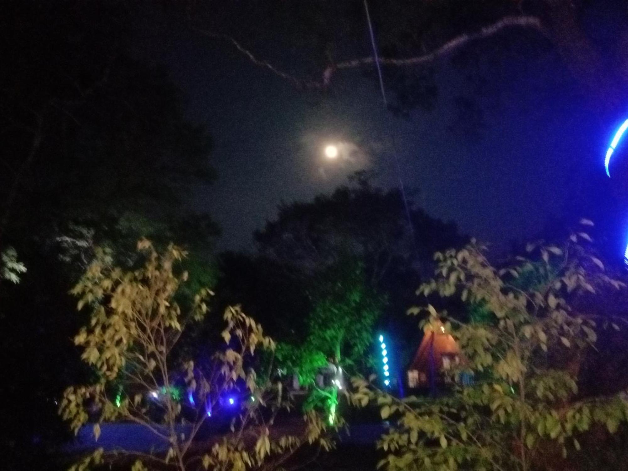 Lion King Jungle Cabanas Szigirija Kültér fotó